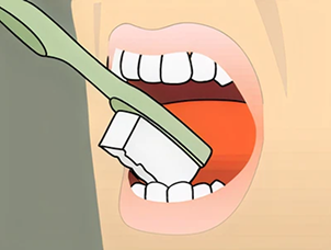 brushing Instructions